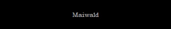Maiwald